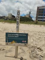 Apto e Terraço pé na areia - B&B Salvador