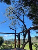 Casa del Árbol Sesquile - B&B Tres Esquinas