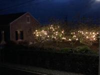 Cozy Nest - B&B Bretanha