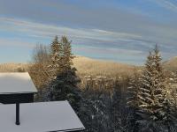 Trysil turistesenter liten leilighet - B&B Trysil