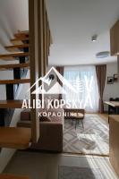 AlibiKopaonikSky32 - B&B Kopaonik