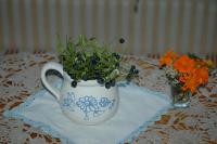 Appartement met Uitzicht op het Gebergte