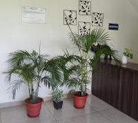 Habitación Doble con baño privado