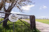 The Barn at Piney Ridge Farm - Bed & Breakfast - B&B Nairne