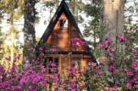 Cabana da Araucaria - B&B Campos do Jordão