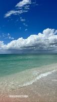 Stylish coastal retreat with Heated Saltwater pool - Chambres d'hôtes Port Charlotte