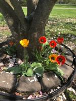 Gratiot View Motel - B&B Saginaw