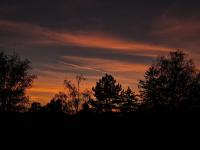 CARPE DIEM Unique S&P - B&B Valjevo