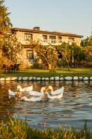 Otantik Tas Ev - Bed and Breakfast Dalaman