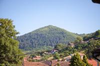 Apartamento - Planta baja