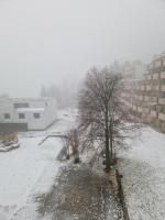 Ferienwohnung Ulbricht mit aktivCARD - Ferienwohnung St. Englmar