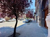 Cris & Ema Luxury Downtown Apartment - B&B Arad