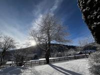 Casa Festini - B&B Thomatal