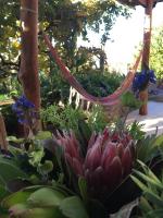 A charming spot - Bed and Breakfast Estreito da Calheta