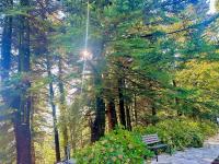 Forest cottage top of the world - B&B Voulgaréli