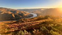 Cozy House with Douro View - Chambres d’hôtes Lamego