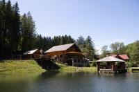 Котеджне містечко KVASOVETS - B&B Kolochava