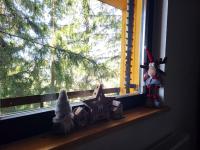 Friends 2 Vlašić - B&B Vlašić