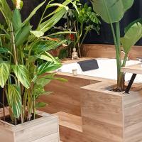 Suite Zen Balnéo - B&B Montpellier