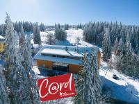 Wiesenquell Apartment Feldberg - B&B Feldberg