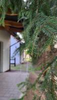Sielsko Anielsko Uniejów- domki całoroczne - Chambres d'hôtes Uniejów