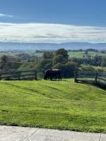 The Home on the Hill - B&B Tirau