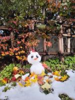 Vierpersoonskamer in Japanse Stijl