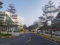 Yueluo Xishuang Bay Suites - B&B Zhuhai