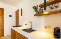 One-Bedroom Apartment 1A (Downstairs)