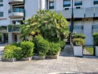 Appartamento Santa Barbara - B&B Capanne-Prato-Cinquale