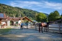Agritur Bontempelli - B&B Pellizzano