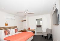 Estudio con cama extragrande
