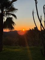 Apartment mit Gartenblick