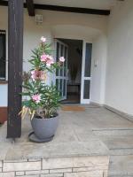 Alte Villa mit Terrasse - B&B Bad Schönborn