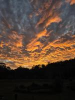 Karinya Tiny House - B&B Moogerah