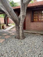 Dos ruedas - B&B Mina Clavero