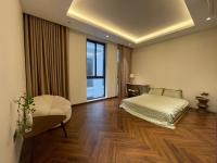 Camera King Standard