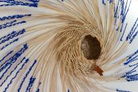 La Margherita Guesthouse, Nebida seaview - B&B Nebida