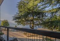The Paraguays - B&B Bellano