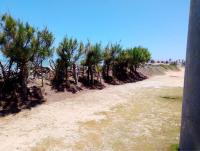 capongabeachce - Ferienwohnung Cascavel