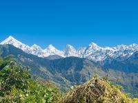 Neer Stays Munsyari - B&B Munsiyari