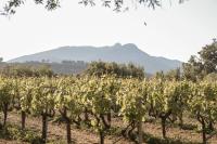 Lithies Farm Houses - B&B Vasilikos