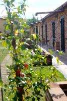 Agriturismo Sentiero delle Fiabe - Ferienwohnung Sirolo