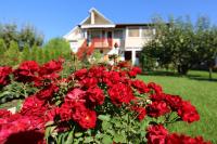 Rózsakert Vendégház - B&B Szigliget