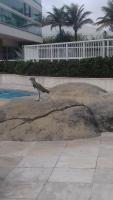 Apartamento Pontal Beach. - Ferienwohnung