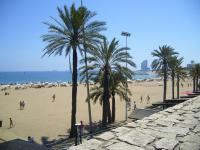 Moderno Apartamento 2 hab en Poblenou 8' Playa & Tech - B&B Barcelona