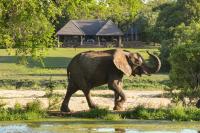 Inyati Game Lodge - B&B Sabi-Sand Game Reserve