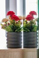 Apartamento con vistas al jardín