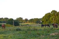 Grange habitée, nature & design - B&B Manou