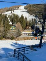 Chalet1500 Apartment Gerlitzen - Ski in-Ski out! - B&B Kanzelhöhe